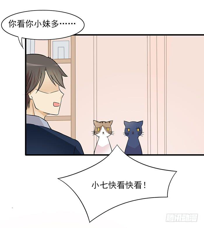《双喵图腾》第012话 第11页