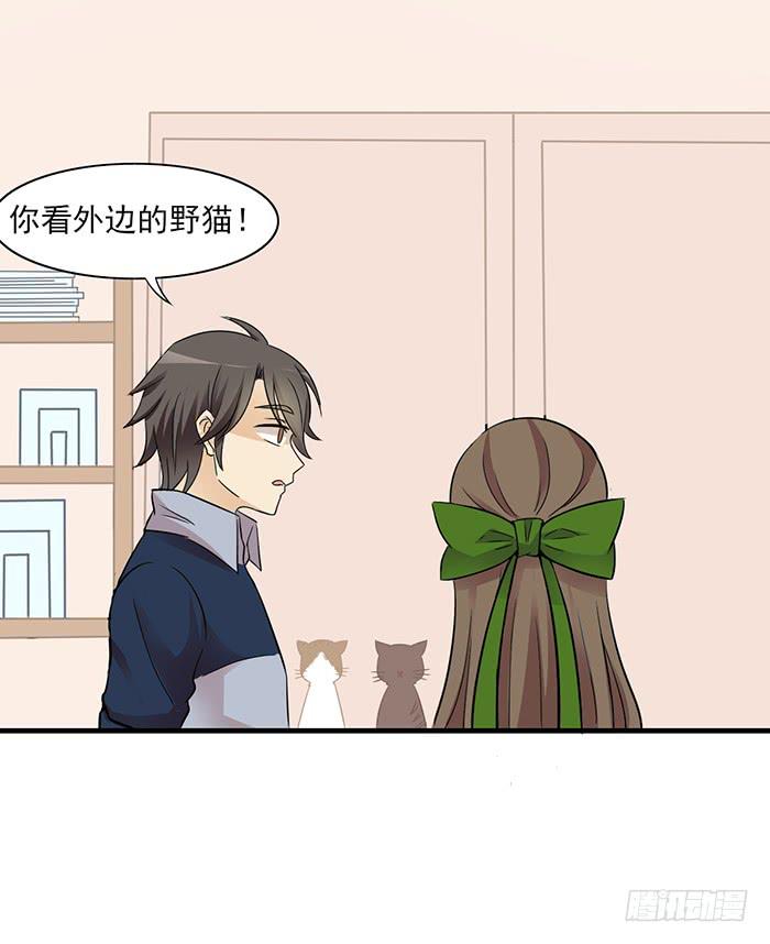 《双喵图腾》第012话 第13页