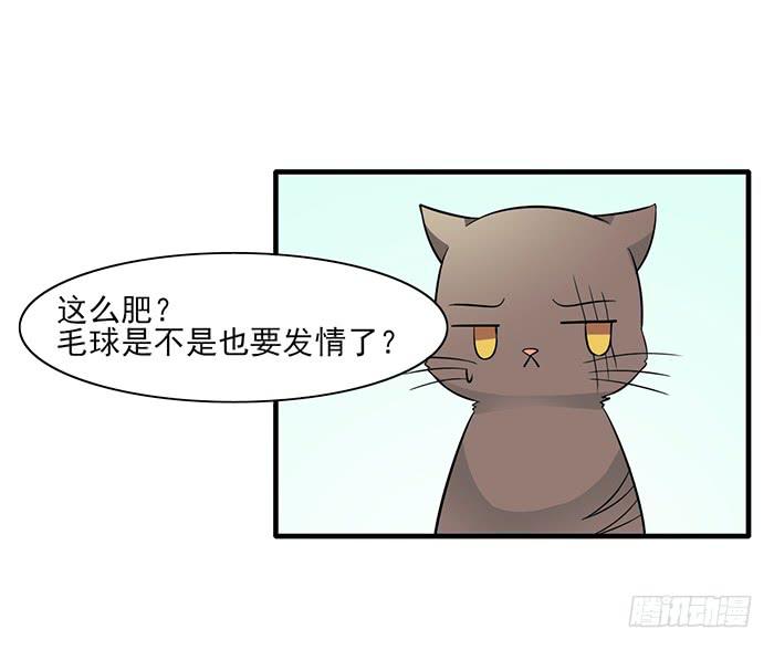《双喵图腾》第012话 第14页