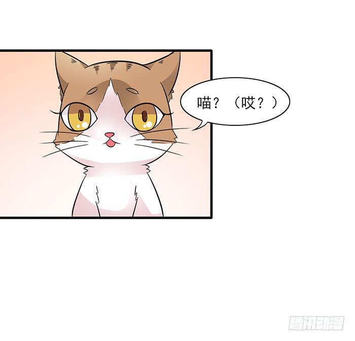 《双喵图腾》第012话 第15页