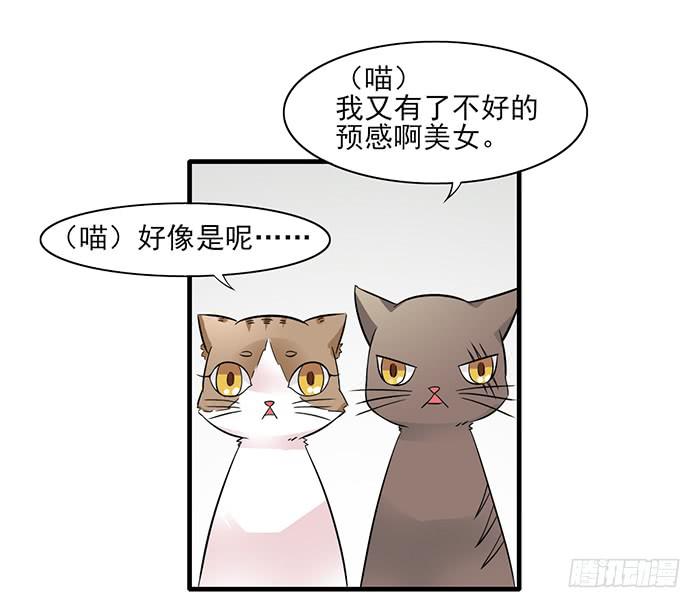 《双喵图腾》第012话 第18页