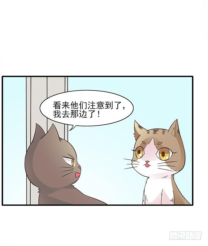 《双喵图腾》第012话 第28页
