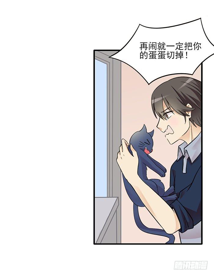 《双喵图腾》第012话 第3页