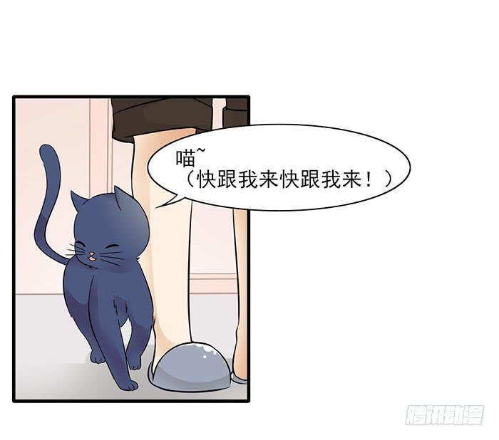 《双喵图腾》第012话 第6页