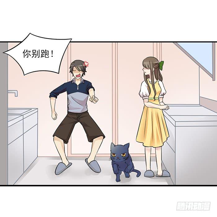 《双喵图腾》第012话 第8页