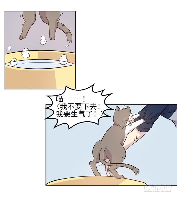 《双喵图腾》第018话 第10页