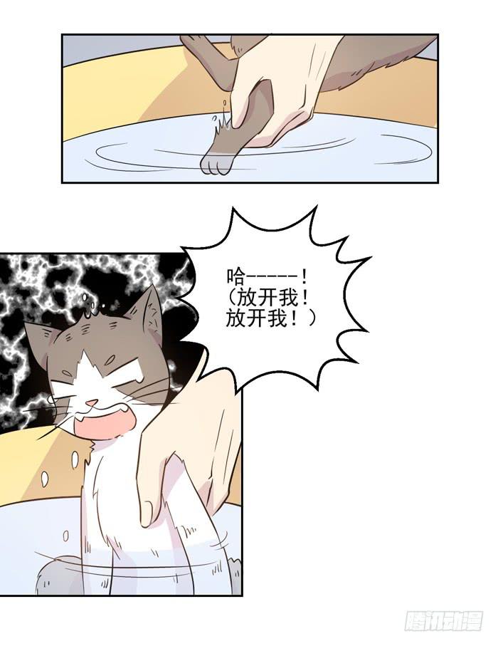 《双喵图腾》第018话 第12页