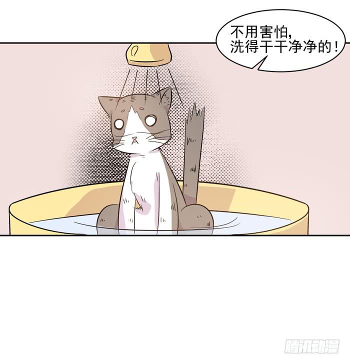 《双喵图腾》第018话 第13页
