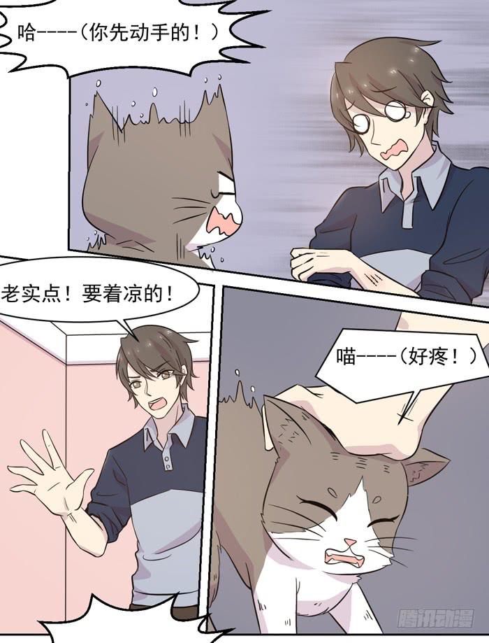 《双喵图腾》第018话 第15页