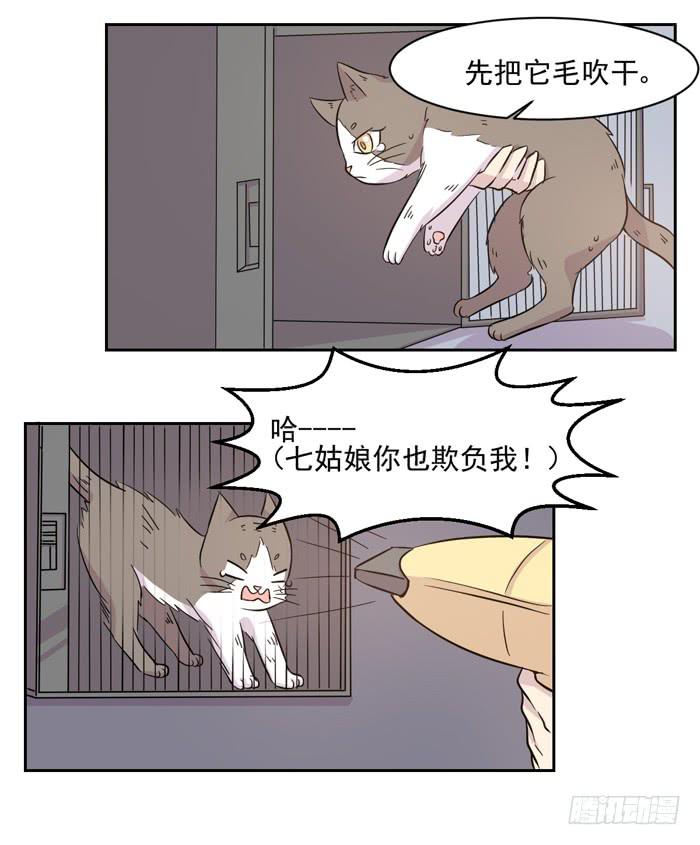 《双喵图腾》第018话 第22页