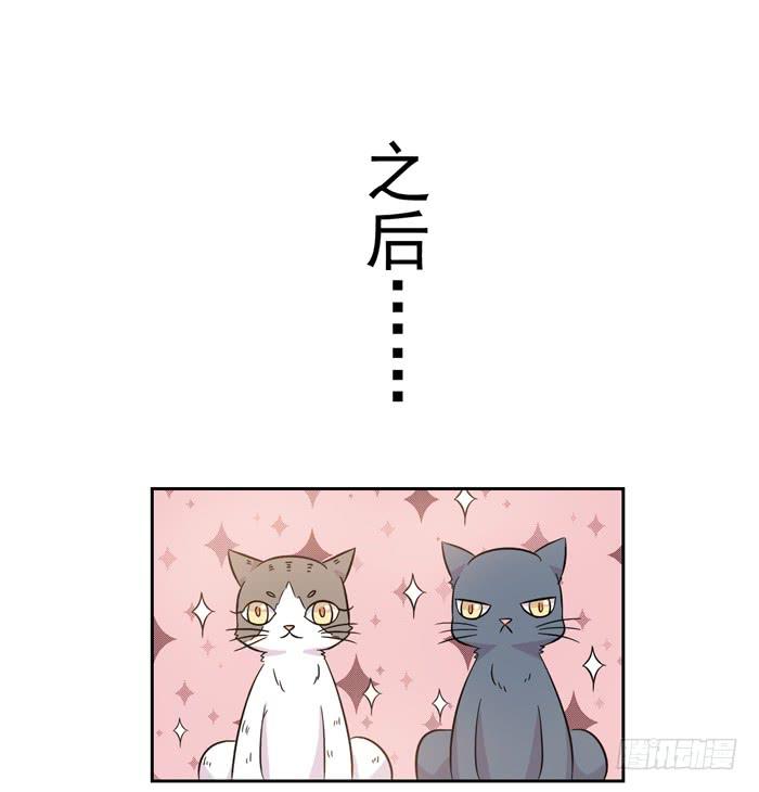 《双喵图腾》第018话 第23页