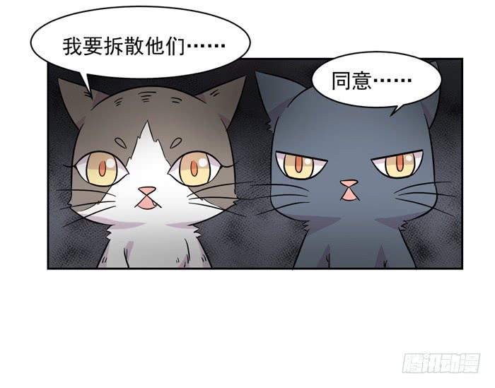 《双喵图腾》第018话 第24页
