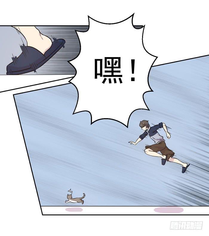 《双喵图腾》第018话 第3页