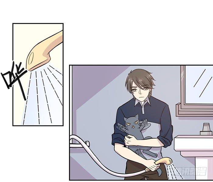 《双喵图腾》第017话 第12页