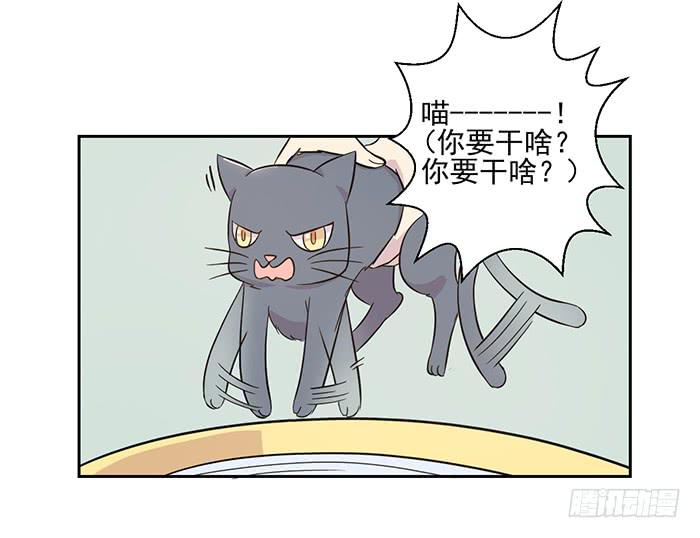 《双喵图腾》第017话 第13页