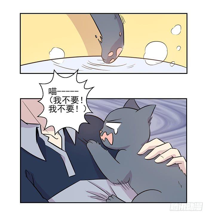 《双喵图腾》第017话 第15页