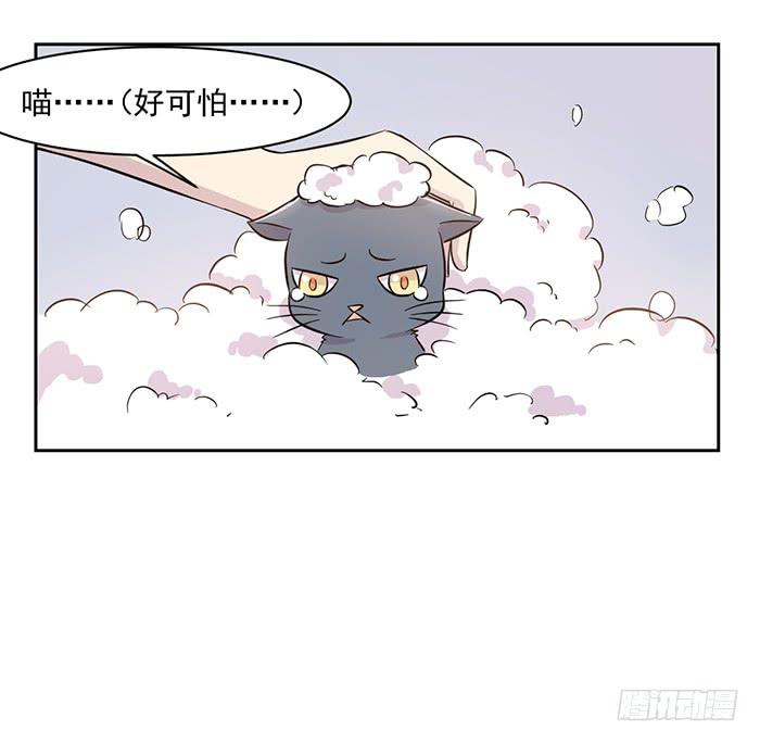 《双喵图腾》第017话 第17页