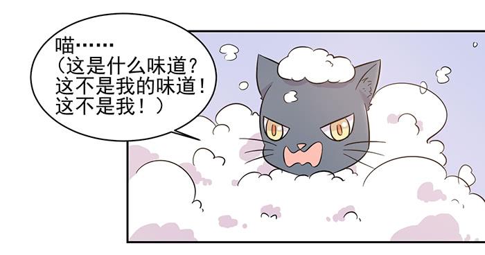 《双喵图腾》第017话 第19页