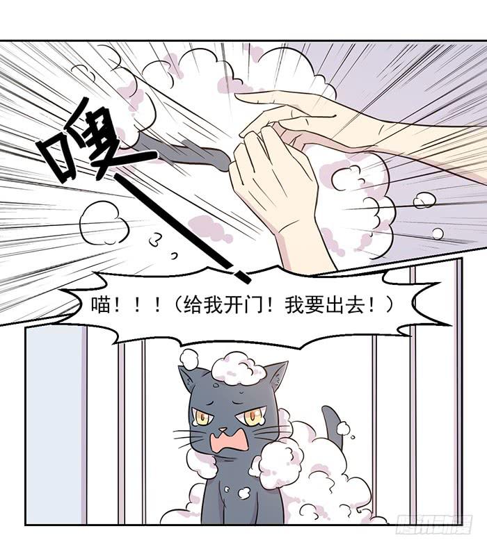 《双喵图腾》第017话 第21页