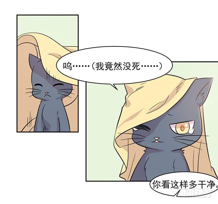 《双喵图腾》第017话 第24页
