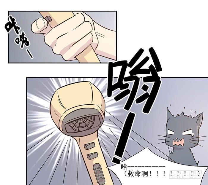 《双喵图腾》第017话 第28页