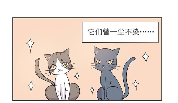 《双喵图腾》第017话 第2页