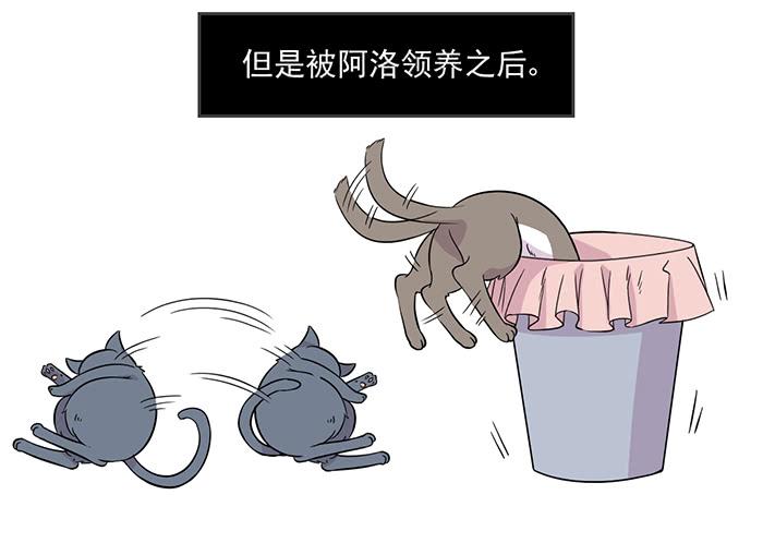 《双喵图腾》第017话 第3页