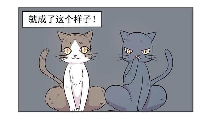 《双喵图腾》第017话 第4页
