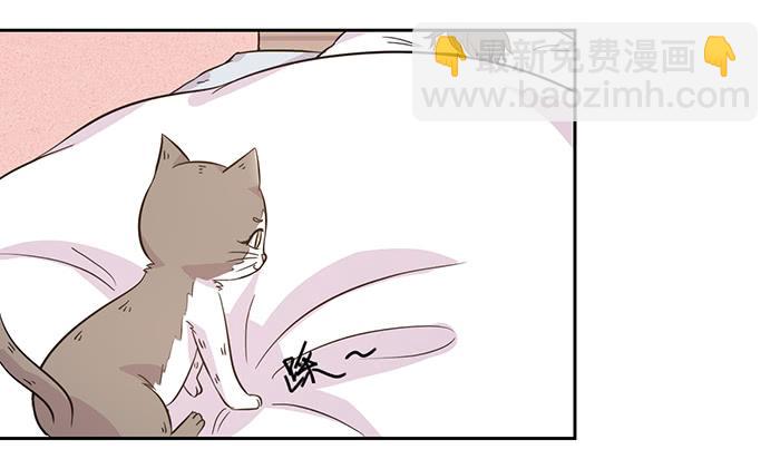 《双喵图腾》第019话 第11页