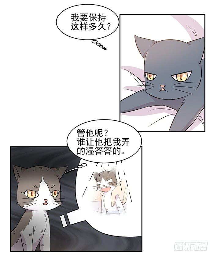 《双喵图腾》第019话 第5页