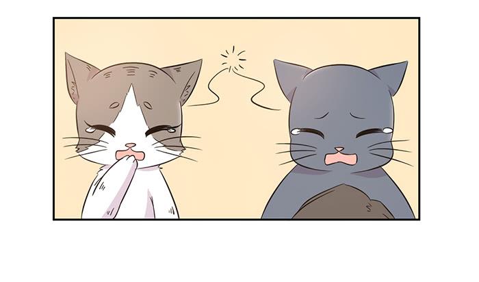 《双喵图腾》第019话 第7页