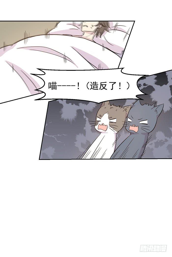 《双喵图腾》第019话 第8页