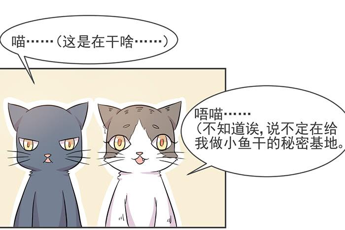 《双喵图腾》第016话 第22页