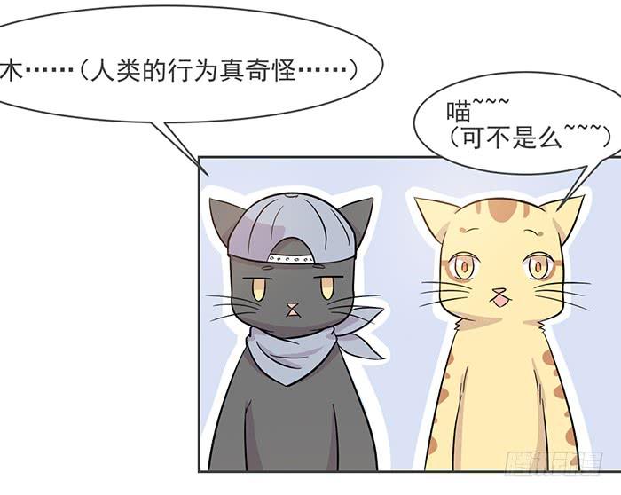 《双喵图腾》第016话 第23页