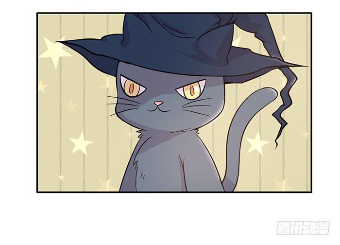 《双喵图腾》第016话 第5页
