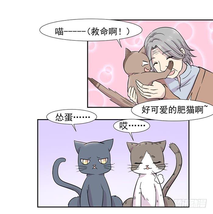 《双喵图腾》第023话 第10页
