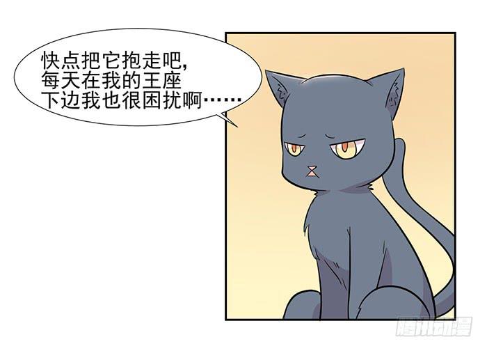 《双喵图腾》第023话 第12页