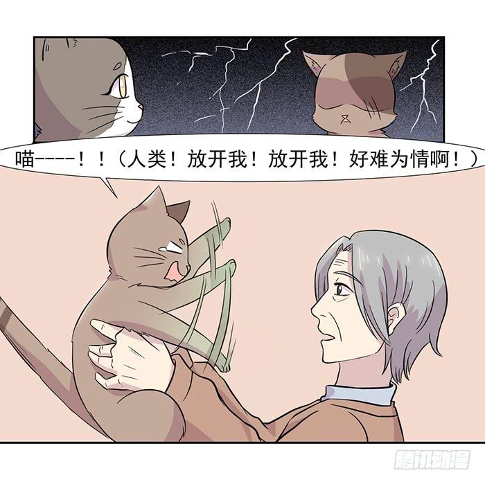 《双喵图腾》第023话 第13页