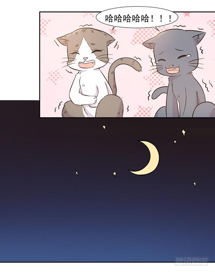 《双喵图腾》第023话 第17页