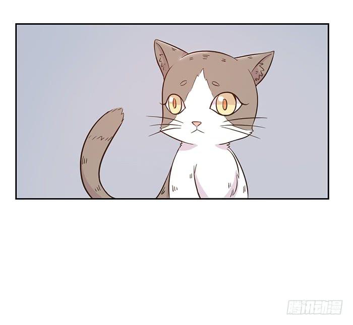 《双喵图腾》第023话 第31页