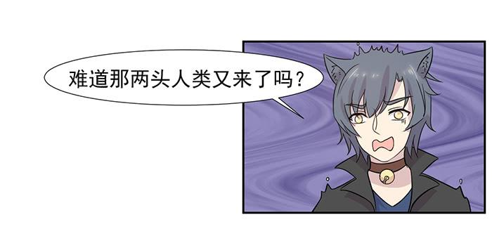 《双喵图腾》第023话 第5页