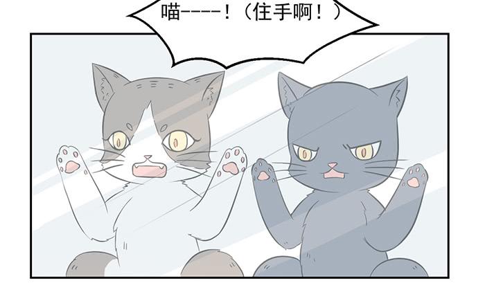 《双喵图腾》第022话 第13页