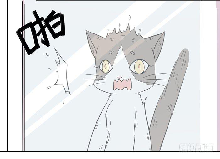 《双喵图腾》第022话 第16页