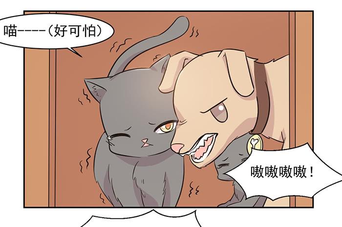 《双喵图腾》第022话 第19页