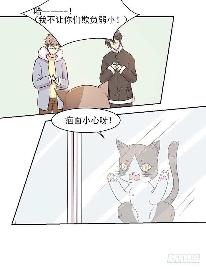 《双喵图腾》第022话 第20页