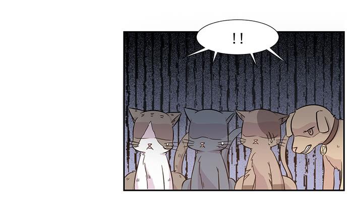 《双喵图腾》第022话 第35页