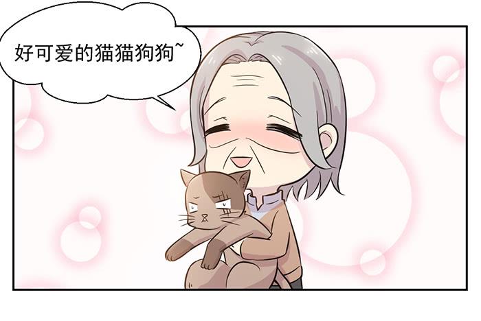 《双喵图腾》第022话 第37页