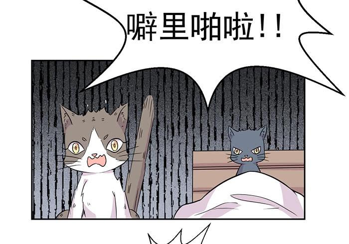 《双喵图腾》第022话 第5页