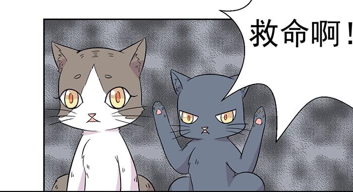 《双喵图腾》第022话 第8页