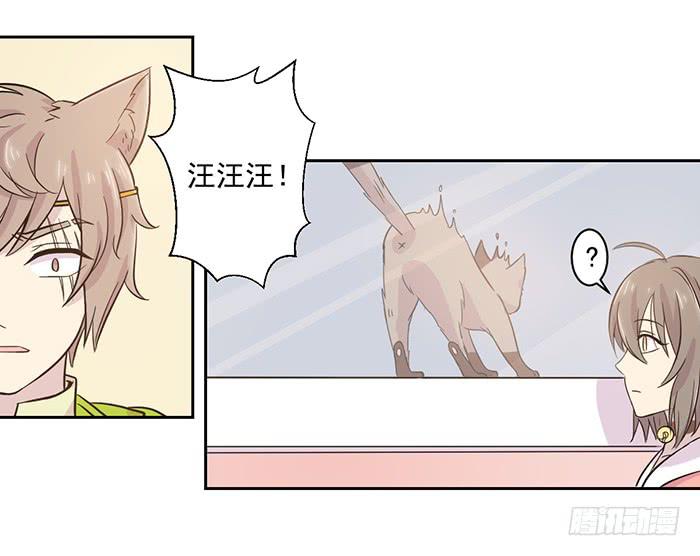 《双喵图腾》第021话 第19页
